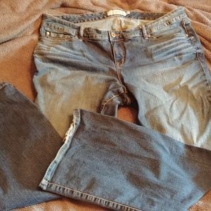 Torrid Jeans